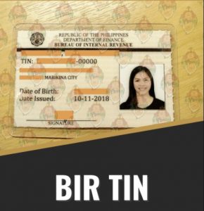 How to get tin id