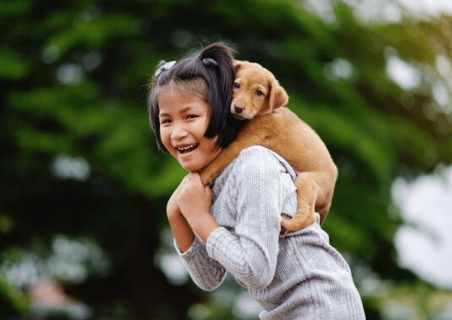 how much is a dog in the philippines