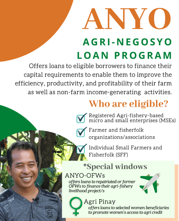 Government loan program - ANYO